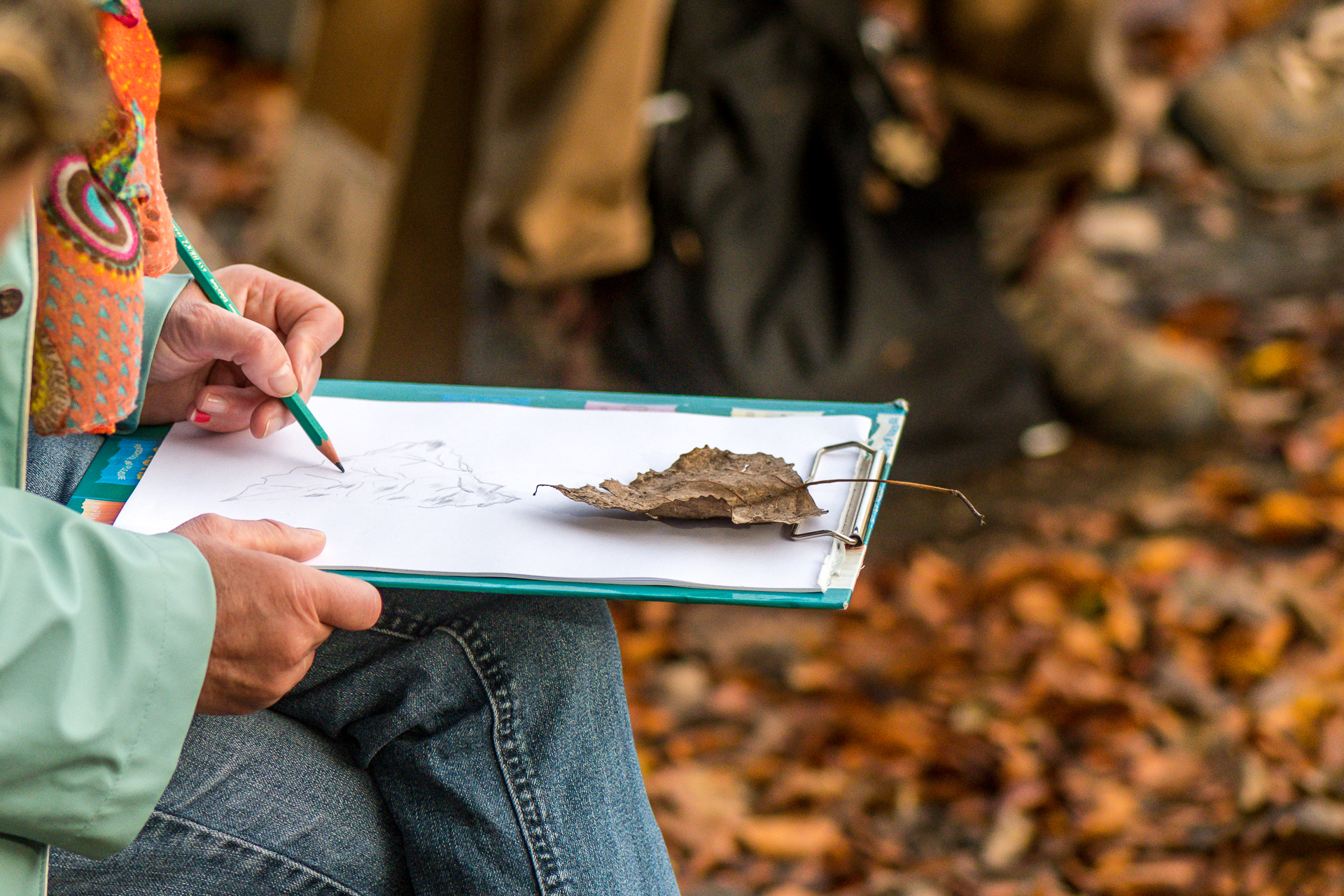 VLOETHEMVELD - Atelier de dessin de la nature