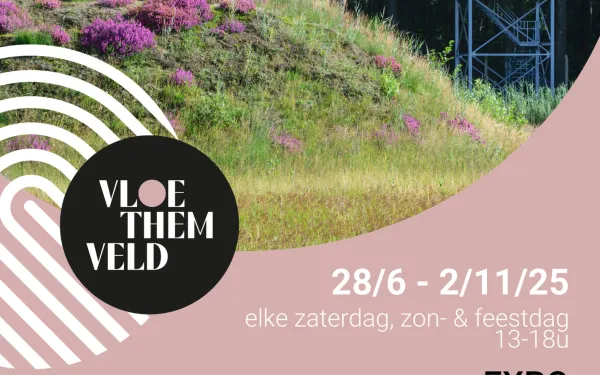 Expo Vloethemveld in Picture
