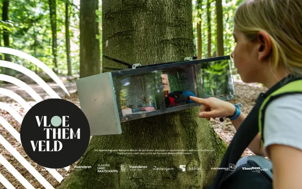 Pinkies en de kriebeldieren