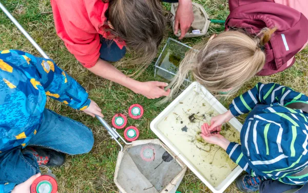 vloethemveld – guide tour - educational