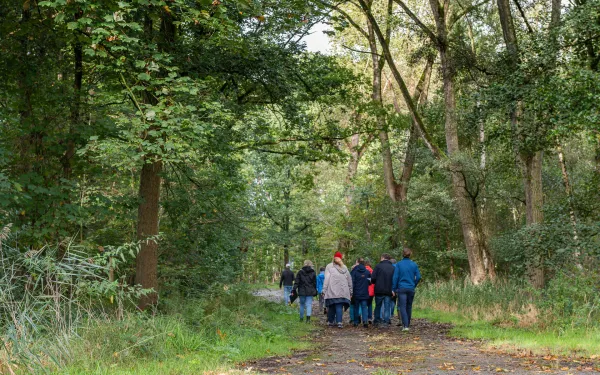 Round Vloethemveld
