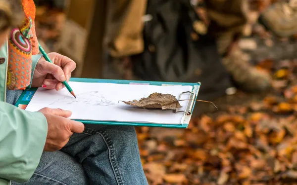 VLOETHEMVELD - Atelier de dessin de la nature