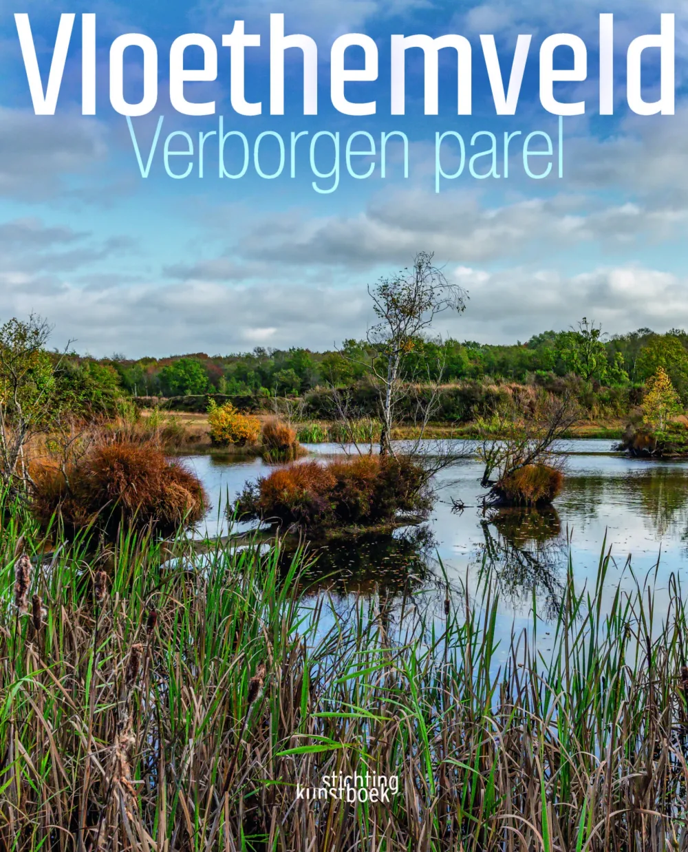 Boek Verborgen Parel Boek Verborgen Parel